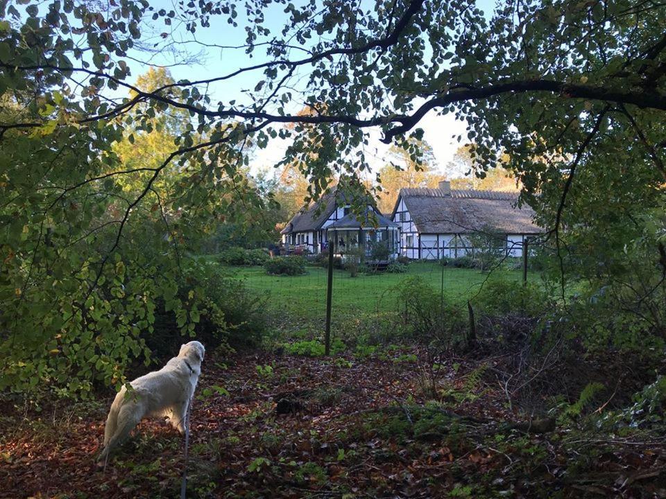 The Foresters House- Idyllic Tranquility- Non Smokers Only Store Heddinge Extérieur photo