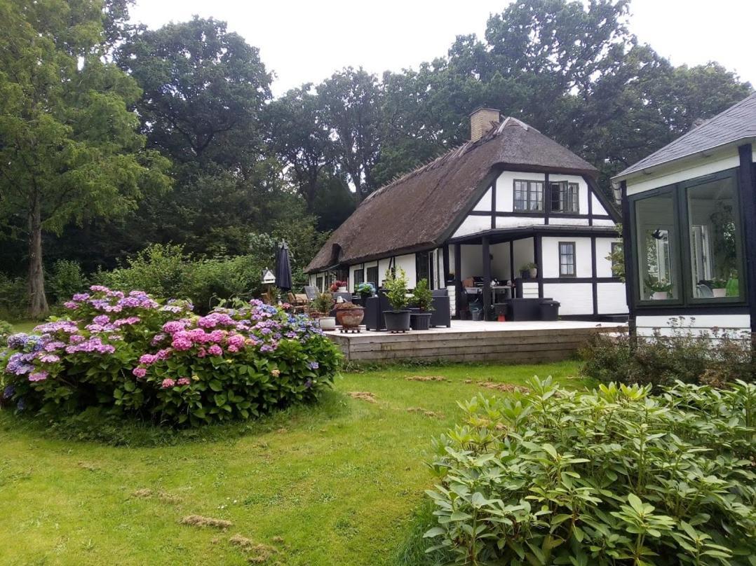 The Foresters House- Idyllic Tranquility- Non Smokers Only Store Heddinge Extérieur photo