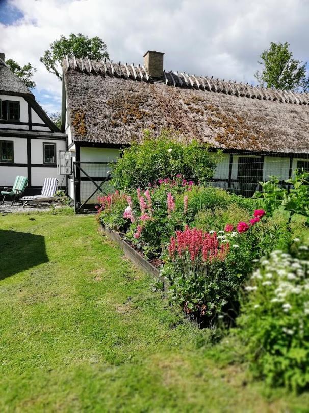 The Foresters House- Idyllic Tranquility- Non Smokers Only Store Heddinge Extérieur photo