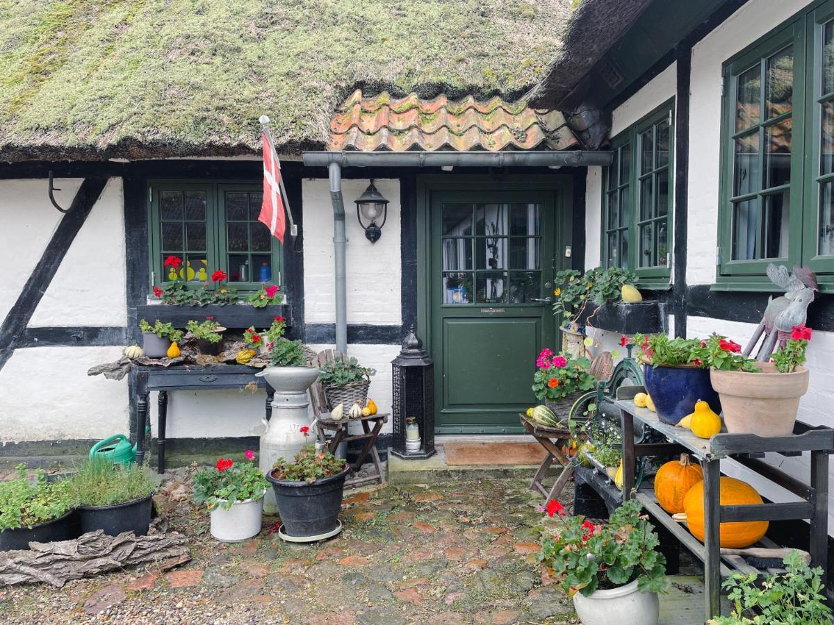 The Foresters House- Idyllic Tranquility- Non Smokers Only Store Heddinge Extérieur photo