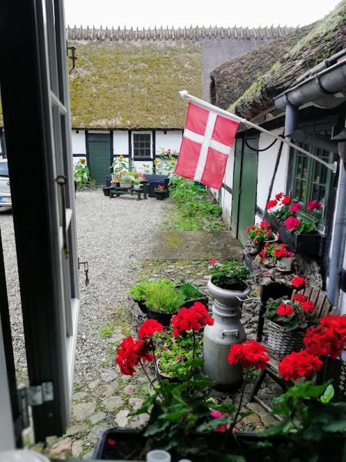 The Foresters House- Idyllic Tranquility- Non Smokers Only Store Heddinge Extérieur photo