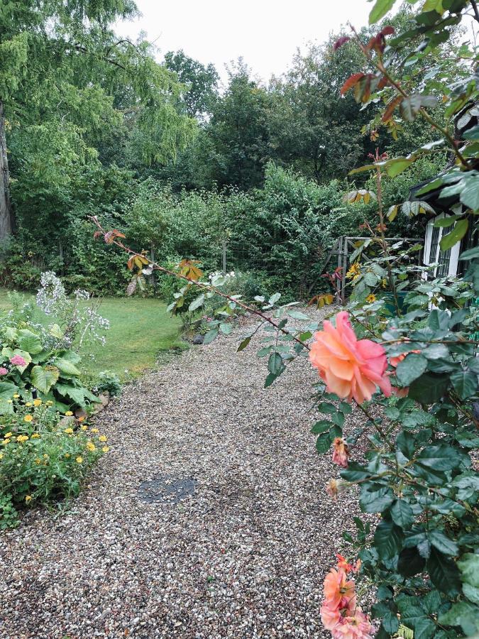 The Foresters House- Idyllic Tranquility- Non Smokers Only Store Heddinge Extérieur photo