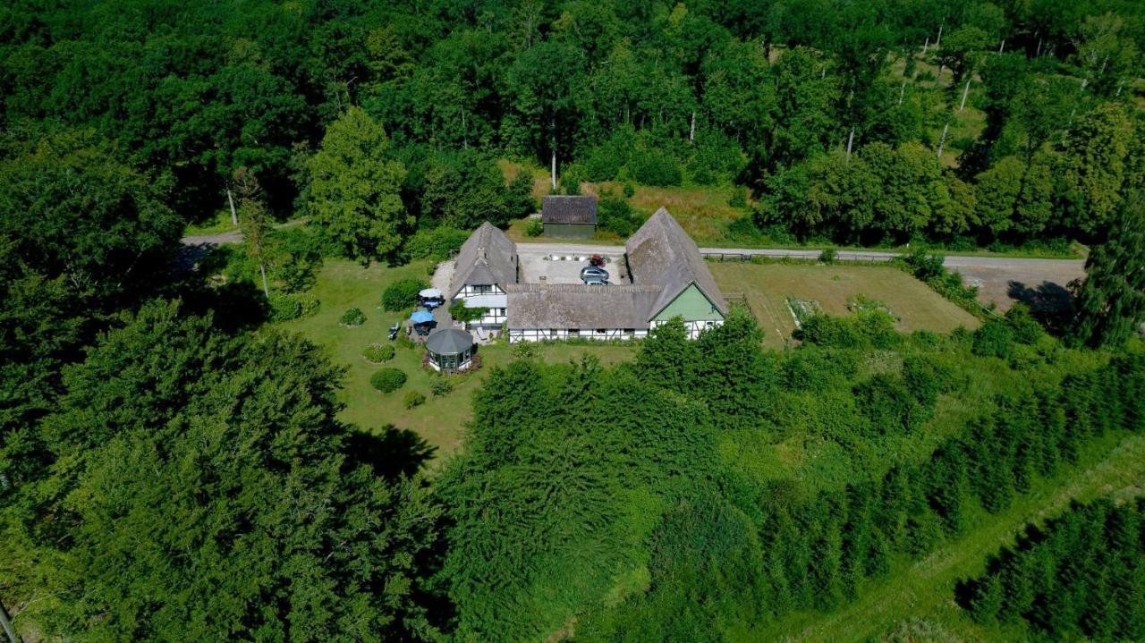 The Foresters House- Idyllic Tranquility- Non Smokers Only Store Heddinge Extérieur photo